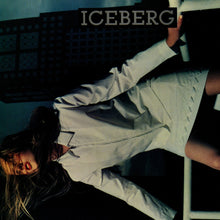 Load image into Gallery viewer, ICEBERG 90s